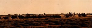 Mustering in the Pilbara.